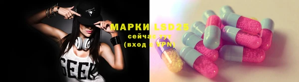 apvp Алексин
