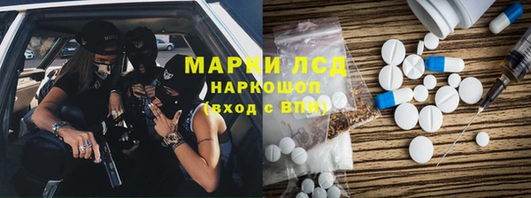 стаф Алзамай
